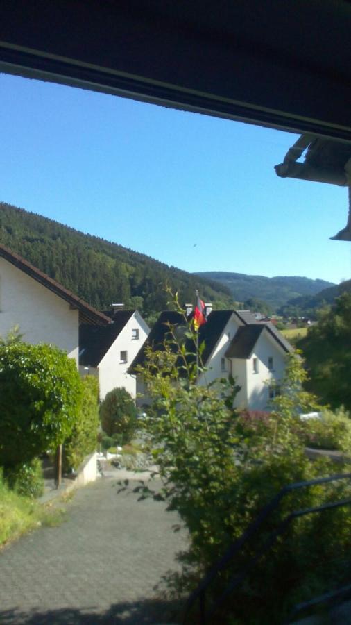 Fewo Pacohaus Naehe Willingen Diemelsee Брилон Экстерьер фото