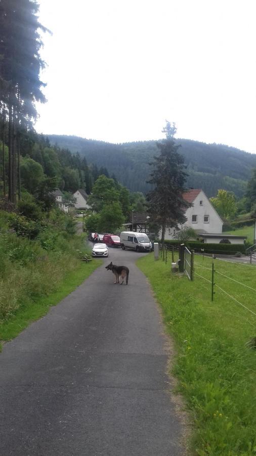 Fewo Pacohaus Naehe Willingen Diemelsee Брилон Экстерьер фото